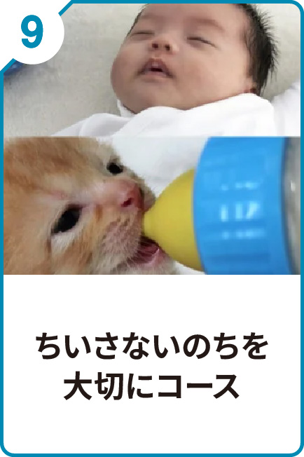 9 ちいさないのちを大切にコース