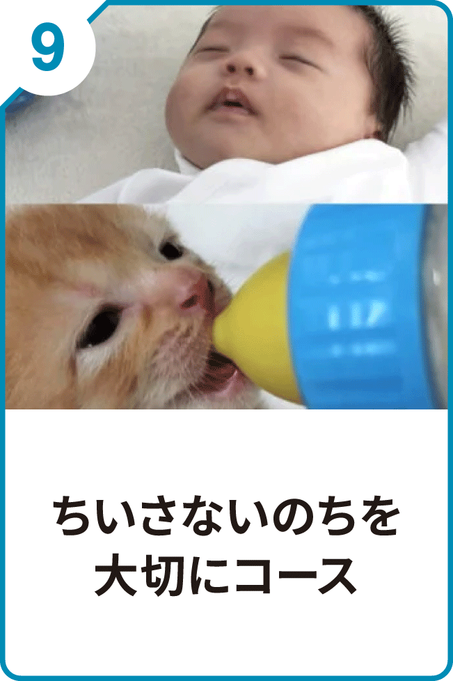 9 ちいさないのちを大切にコース