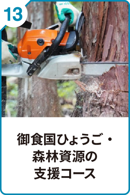 13 森林資源 活用促進コース