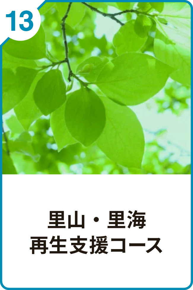 13 里山・里海 再生支援コース